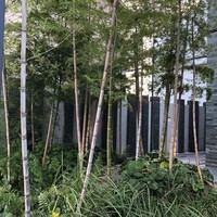 鮨 さかい - 