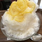 スノウドロップ - 