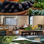 ベジカフェ グリーンフィールド - 