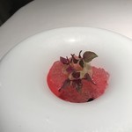 Passage 53 - ルバーブ、シェリービネガー、紫蘇、チェリー