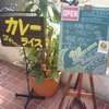 コロンビア エイト 北浜本店