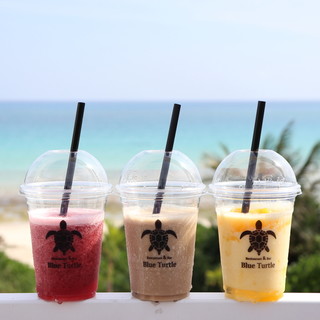 ブルータートル_0