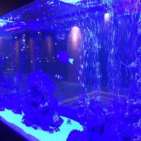 The lounge on the water - 