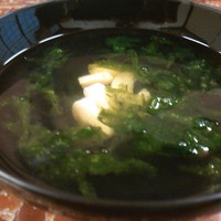 明神下 神田川 本店 - 