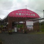 Oohashi Sakuramboen - 芦別市の山奥、大橋さくらんぼ園