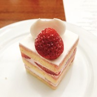 フィオレンティーナ - 