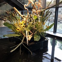日本料理 水簾 - 