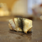 鮨 うら山 - シンコ☆