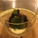 Kyo gastronomy KOZO - ～苔テラリウム～ フォアグラクリームとトリュフの薫り