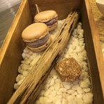 Kyo gastronomy KOZO - 輝くブルーベリーのマカロンアイス