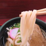 かけはし - じゃこ天うどん　５００円