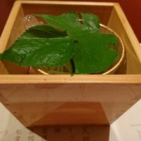 吉星 - 
