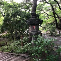 未在 - 