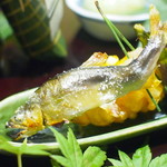 御幸町 田がわ - ➀琵琶湖の鮎