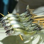御幸町 田がわ - 琵琶湖の鮎