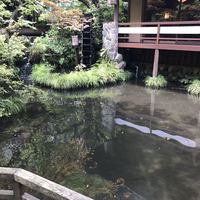 うかい鳥山 - 