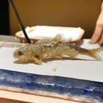 にい留 - 琵琶湖稚鮎