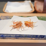 にい留 - 車えび頭