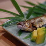 うを徳 - 四万十川（しまんとがは）の鮎（あゆ）＋うるか