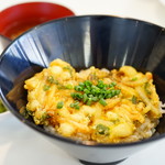 Restaurant Blue Marine - 小海老とイカのかき揚げ丼 (￥670)