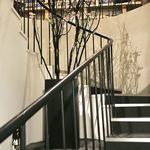 ROKU KANDA - デンファレの生花がビーカーにかなりの数が木にくくれららてるんです、写真では伝わりませんが、奥様の心得なのでしょうか、この演出、感動しました！