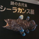 リーベ - マリンパークでは９月１９日までシーラカンスの標本が展示されています