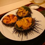 蓬左茶寮 - 先附:殻付雲丹ガセ食べ比べ(愛知師崎 赤･紫/岩手宮古 バフン)