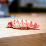 鮨 尚充 - ☆車海老