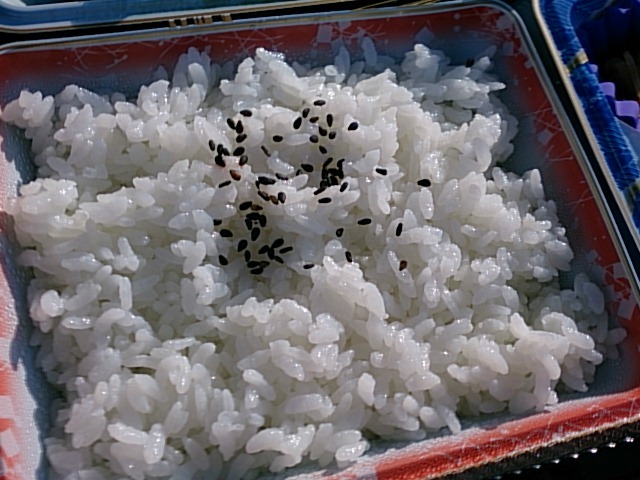 仕出し みやざき - 鶴岡（弁当）の写真