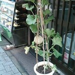 深大寺門前そば - 