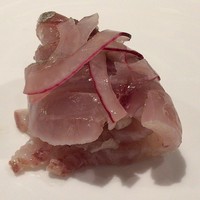 bb9 - 