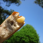 boulangerie S e'quipe - 小枝の断面