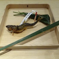 富小路 やま岸 - 