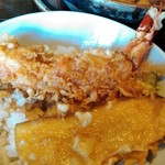 煮込みうどん かに屋 - ミニでも海老は太くて大きい