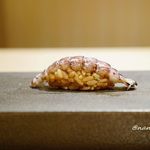 はっこく - 宮城のシャコ