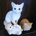 手打ちそば 菊右ヱ門 - ねこちゃん。