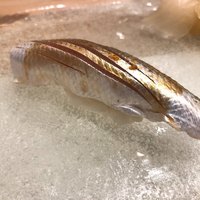 うを徳 - コハダ