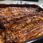 Unagi Kinsui - 