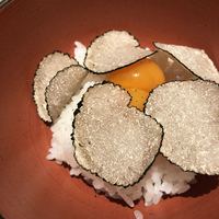恵比寿 希鳥 - 