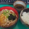 いづみ家 - 料理写真:冷やしたぬきととろろご飯