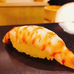 鮨 竜介 - 2018.6.  車海老