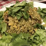 パクチー ジョーズ - 