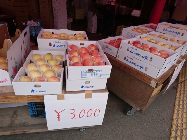 今シーズン最後の あらかわの桃 By Dreamer 桃山特産センター 下井阪 その他 食べログ