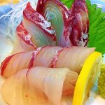 居酒屋だいだい - ココダイ