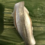 岩佐寿し - シンコ。最初の注文時に頼みましたが、ここで登場しました。板前さんも言っていましたが、やや大ぶり。。。期待は。。。