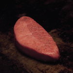 オカダ食品株式会社 - 肉のオカダ 予約の取れない人気の焼肉 オカダ食品（中央区）