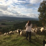 ラム肉バル 結 - 