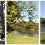 六義園 吹上茶屋 - 