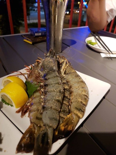 大衆焼肉ホルモンと産直の魚と野菜 炉端のちんちこちん 国際センター 焼肉 食べログ