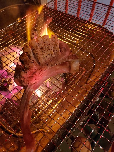 大衆焼肉ホルモンと産直の魚と野菜 炉端のちんちこちん 国際センター 焼肉 食べログ